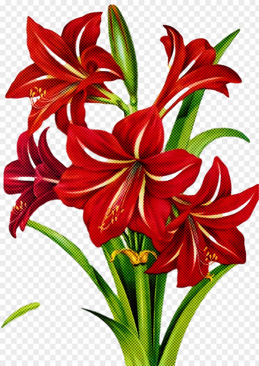 Floral Design PNG