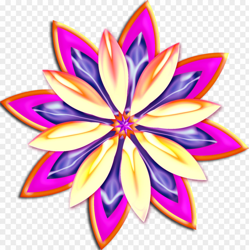 Flower Type Paper Bumper Sticker Zazzle PNG