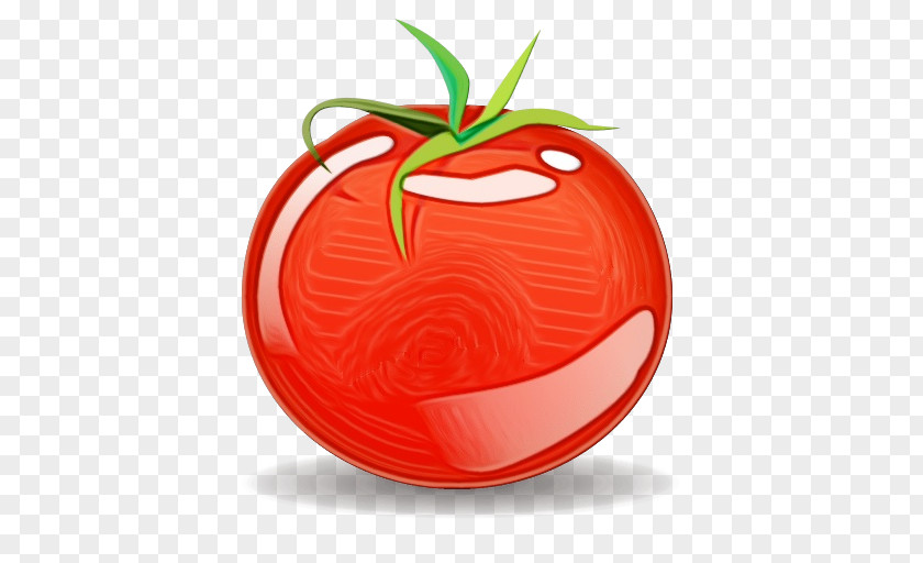 Logo Nightshade Family Apple Background PNG