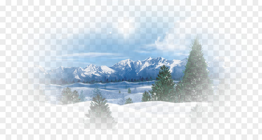 Winter Desktop Wallpaper Tree Painting PNG