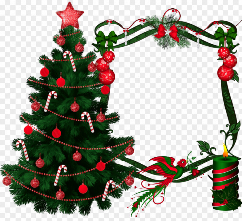 Christmas Tree Ornament Winter Cluster PNG
