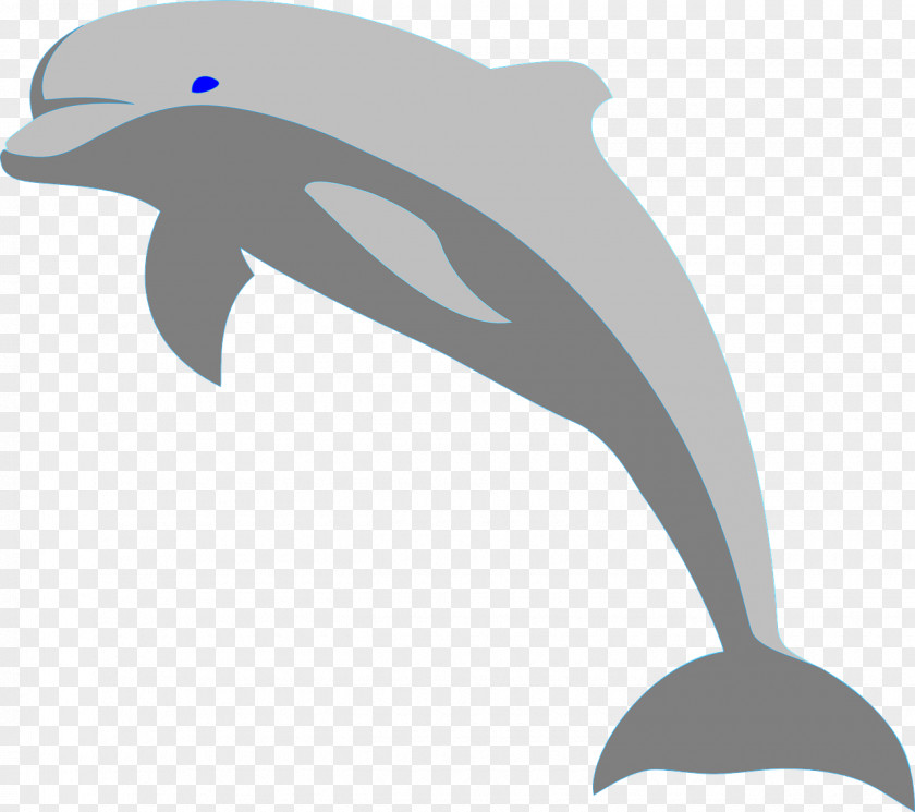 Gray Dolphins Bottlenose Dolphin Clip Art PNG