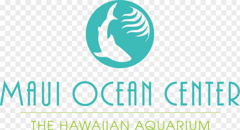 Hotel Maui Ocean Center Lahaina Shaka Vibe Bubble Tea & Treats Wailuku PNG