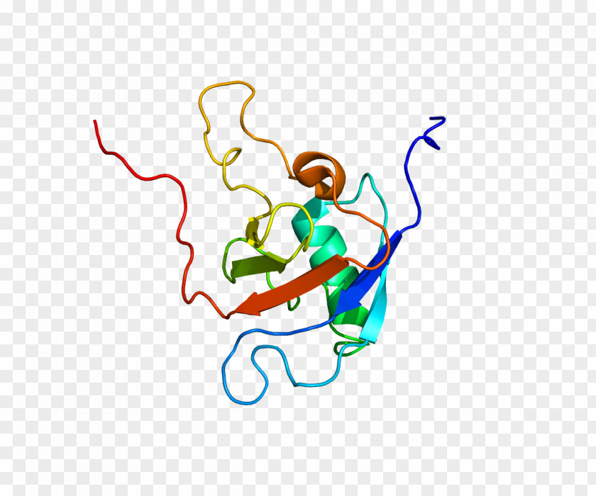 Protein PLXNB1 Semaphorin Plexin Sema Domain Transmembrane PNG