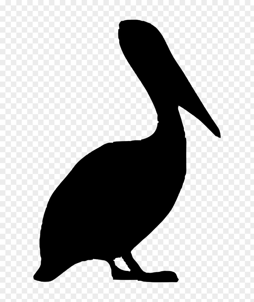Silhouette Brown Pelican Drawing Clip Art PNG