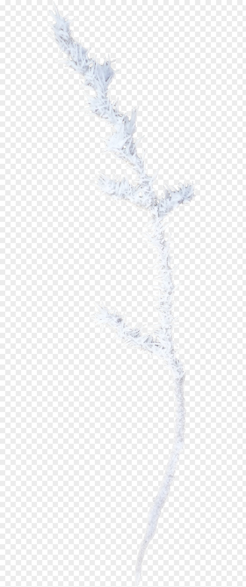 Snow Branch Paper Area Angle Pattern PNG