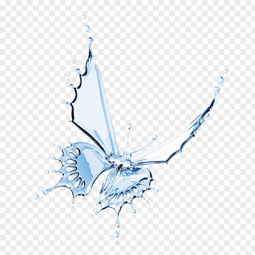 Water Butterfly Cooler Insect Drop PNG