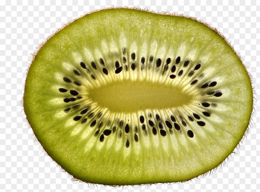 Food Plant Kiwifruit Hardy Kiwi Green Fruit Flightless Bird PNG