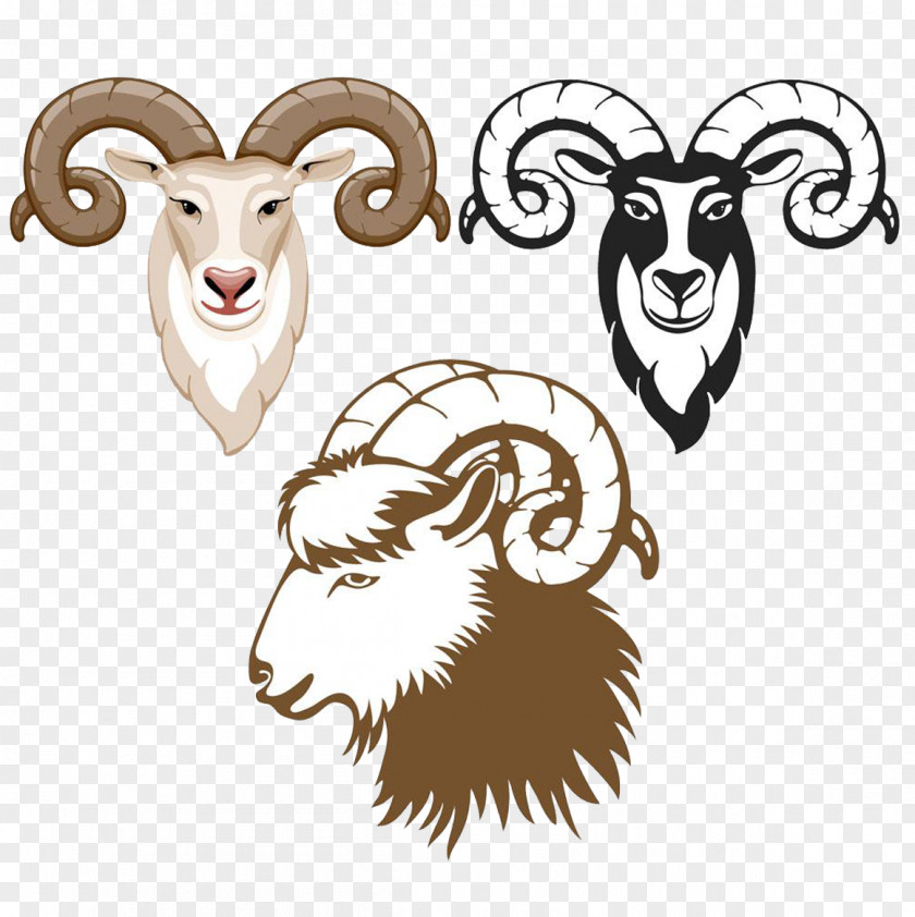 Three Kinds Of Sheep Logo Material Cartoon PNG