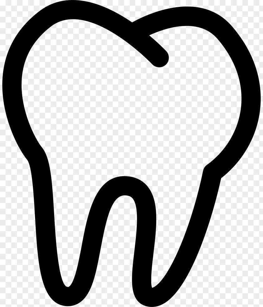 Tooth Dentistry Human PNG
