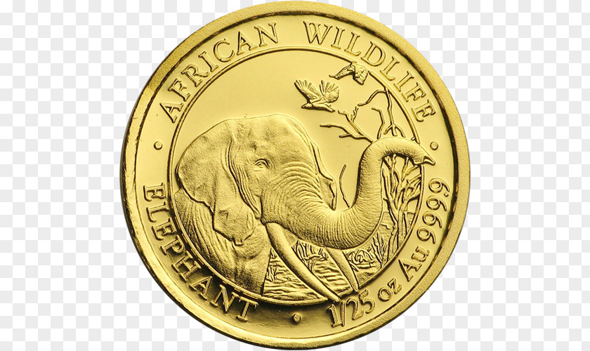 Coin Gold Australia National Cricket Team Royal Australian Mint Sovereign PNG
