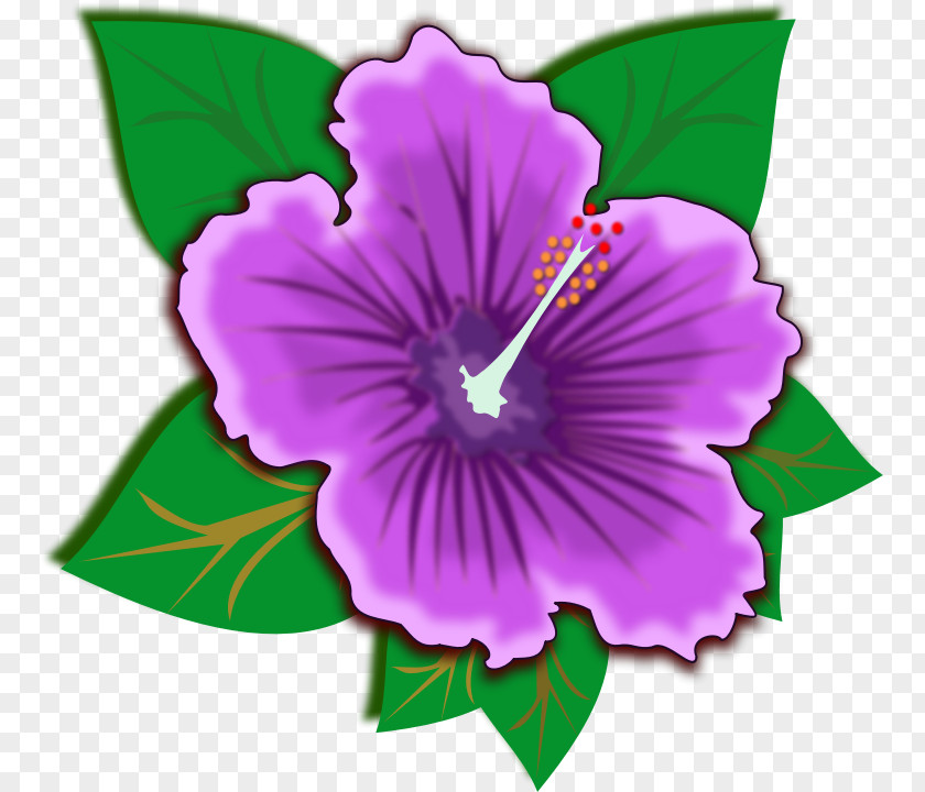 Hibiscus Cliparts Schizopetalus Flower Purple Clip Art PNG