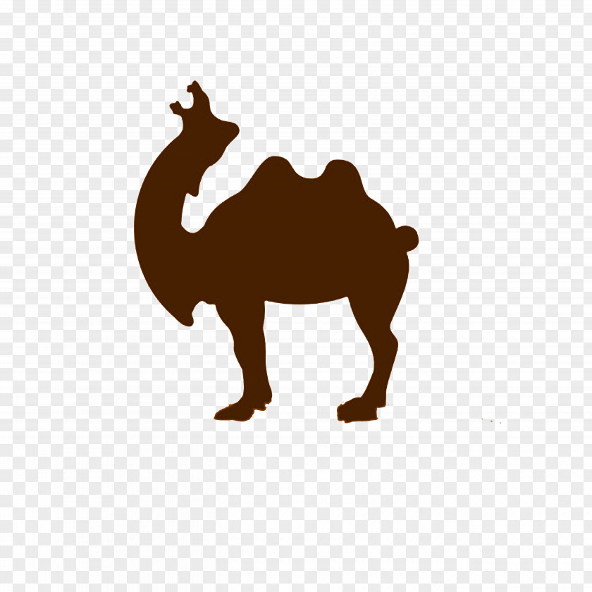 Roar Camel Logo Dromedary Lion PNG