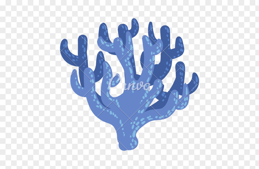 Antler Coral Reef Jellyfish Fire PNG