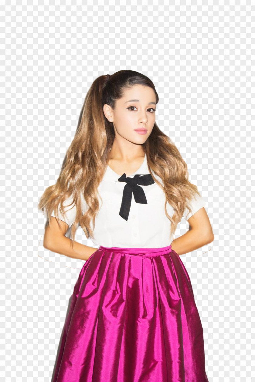 Ariana Grande Hairstyle Braid Ponytail PNG