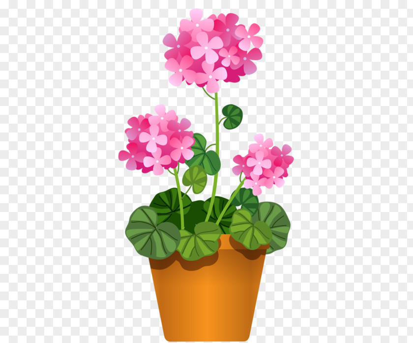 Flower Flowerpot Houseplant Clip Art PNG