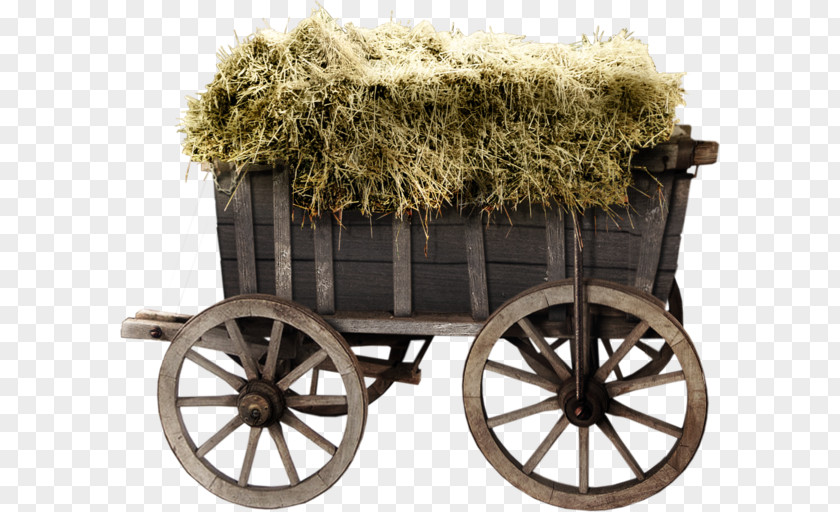 JARDIN Wheelbarrow Wagon Garden Cart PNG