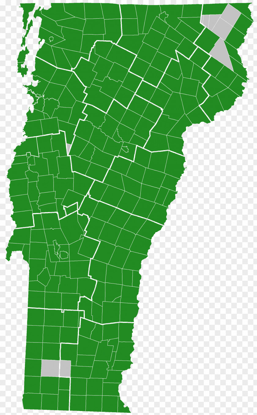 New Hampshire Democratic Primary 2016 Republican Party Presidential Primaries, United States Election Electoral District PNG