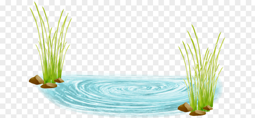 POND Water Desktop Wallpaper Clip Art PNG