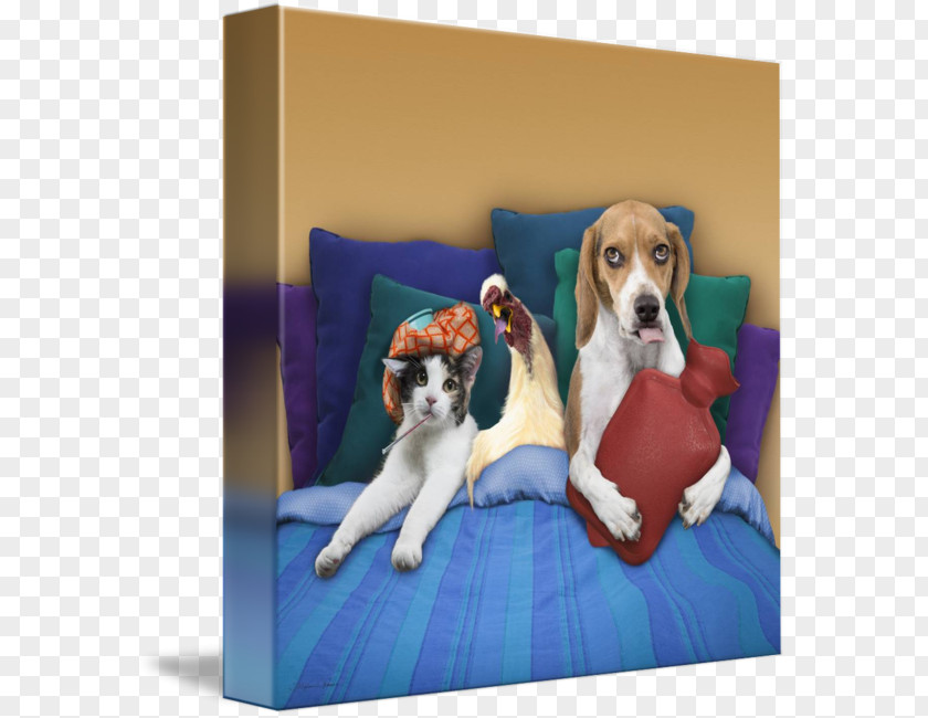 Puppy Beagle Dog Breed Cat Pet Sitting PNG