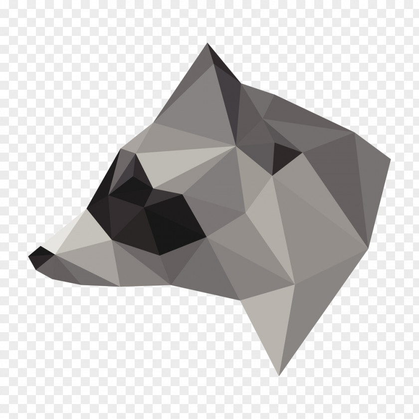 Triangle Raccoon Vector Graphics Geometry Euclidean PNG