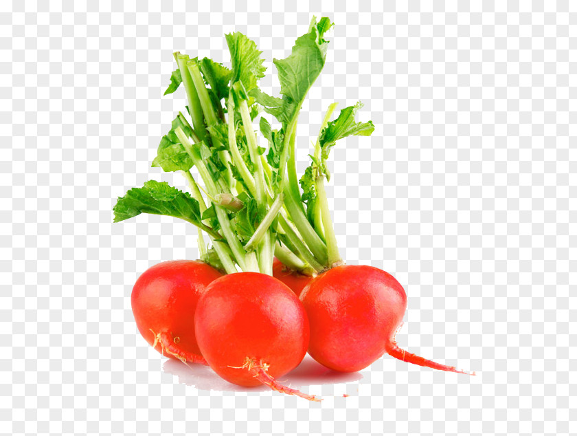 A Radish Leaf Vegetables Vegetable Fruit Food PNG