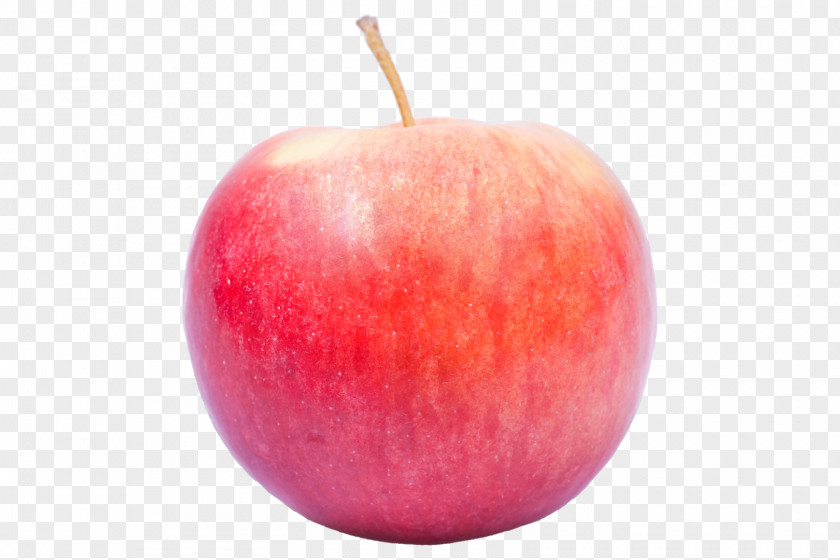 Apple McIntosh Red Idared Golden Delicious Ingrid Marie PNG