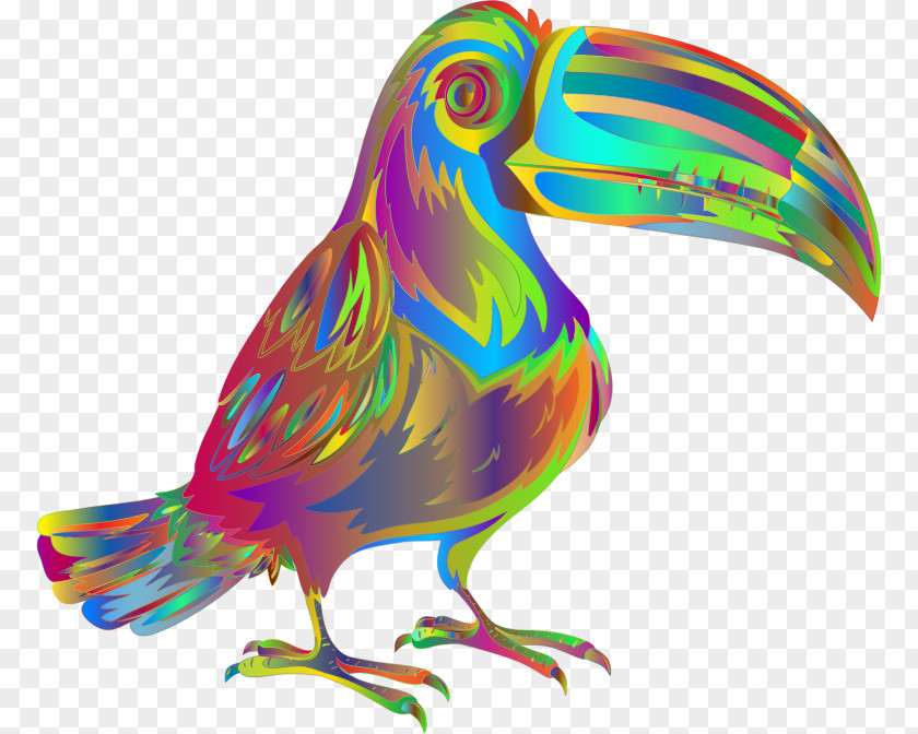 Bird Beak Toucan Openclipart Clip Art PNG