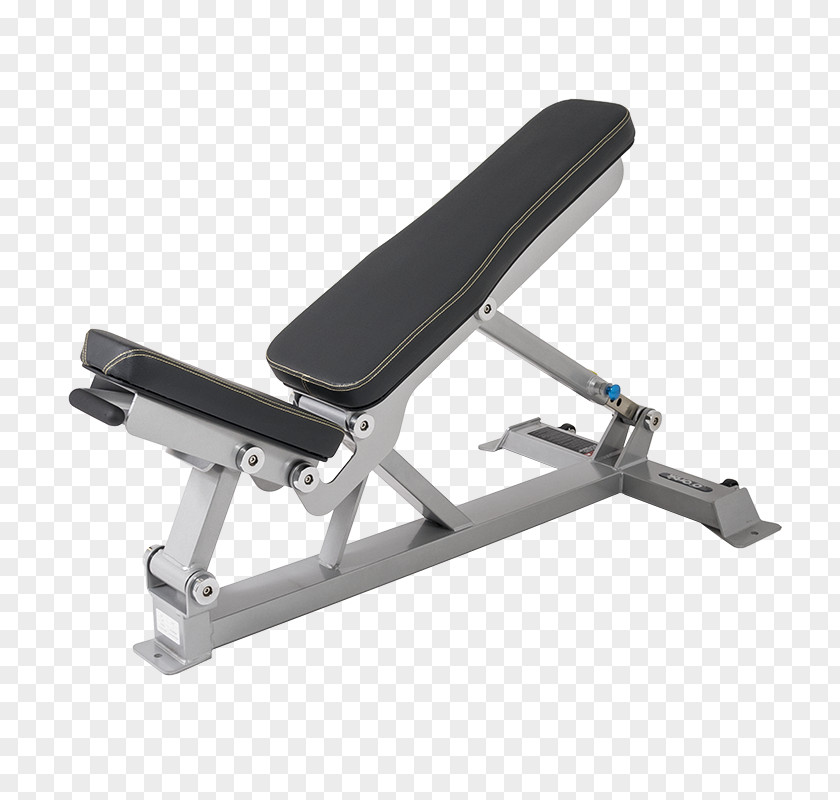Dumbbell Shoulder Press Bench Weightlifting Machine Olympic Squat PNG
