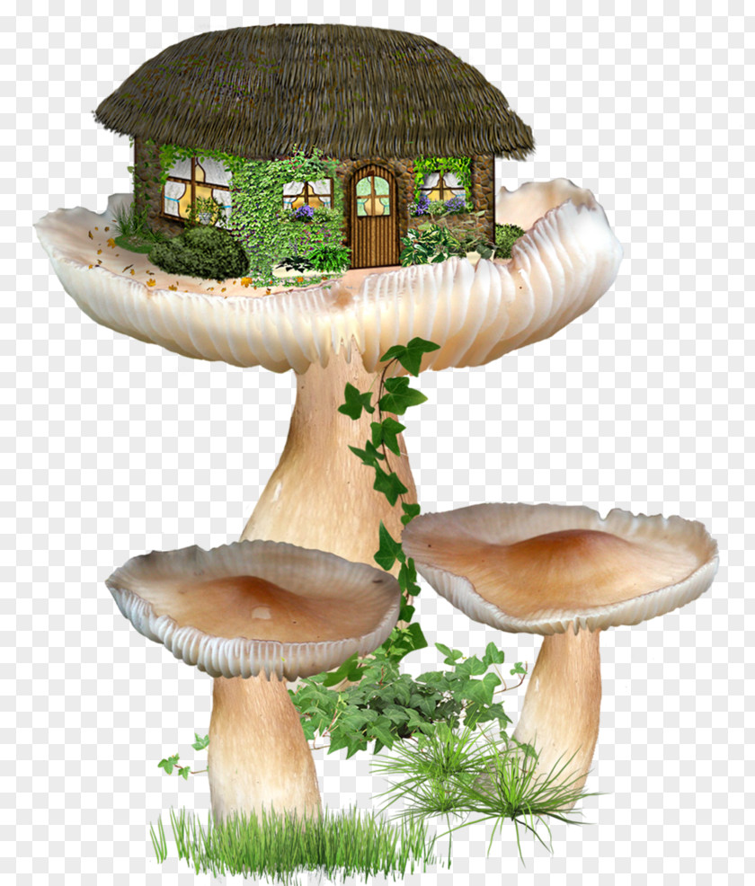 Fairy House Image Clip Art PNG