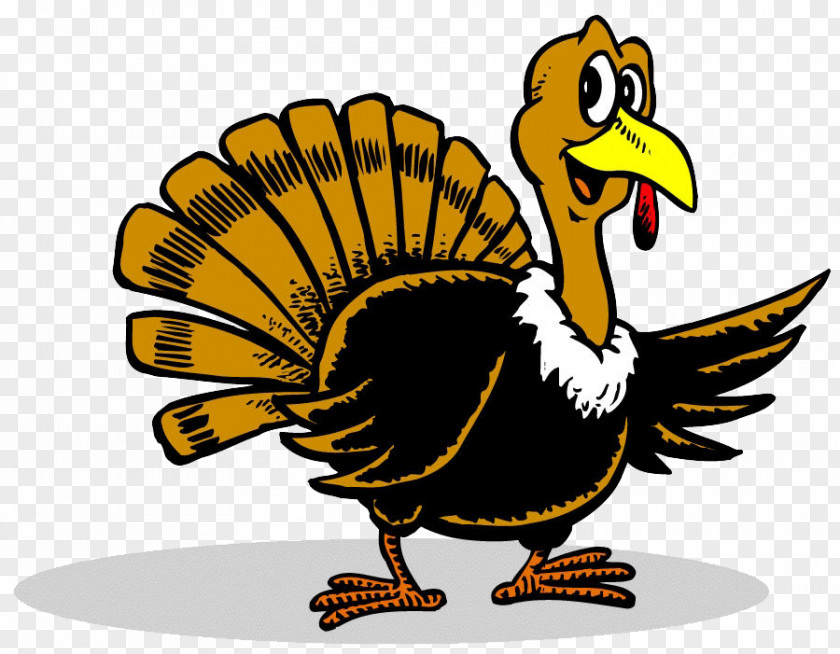 Free Turkey Images Plymouth Rock Thanksgiving Cartoon Clip Art PNG