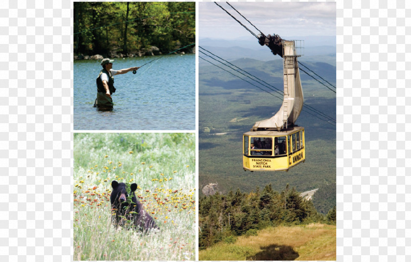 Mountain Cannon Ski Area Aerial Tramway Mount Washington Franconia Notch PNG