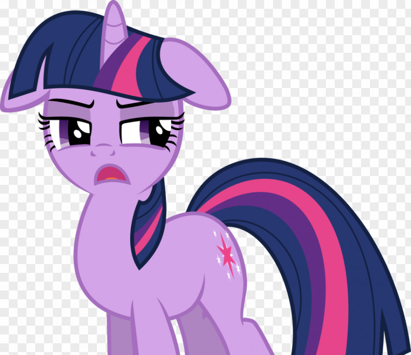 My Little Pony Twilight Sparkle Rarity Pinkie Pie Rainbow Dash PNG