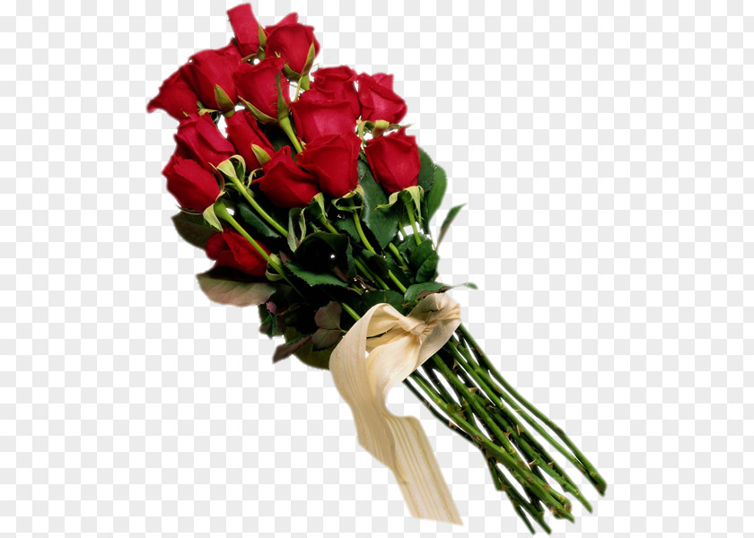 Valentine's Day Flower Bouquet Rose PNG