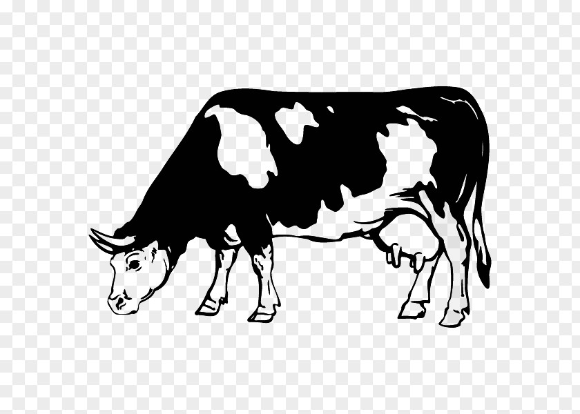 Cow Dairy Cattle Zebu Ox Sticker PNG