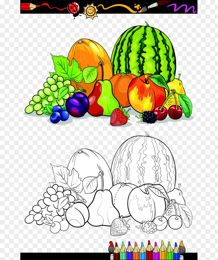 Great Fruit Rollup Vegetable Sketch PNG