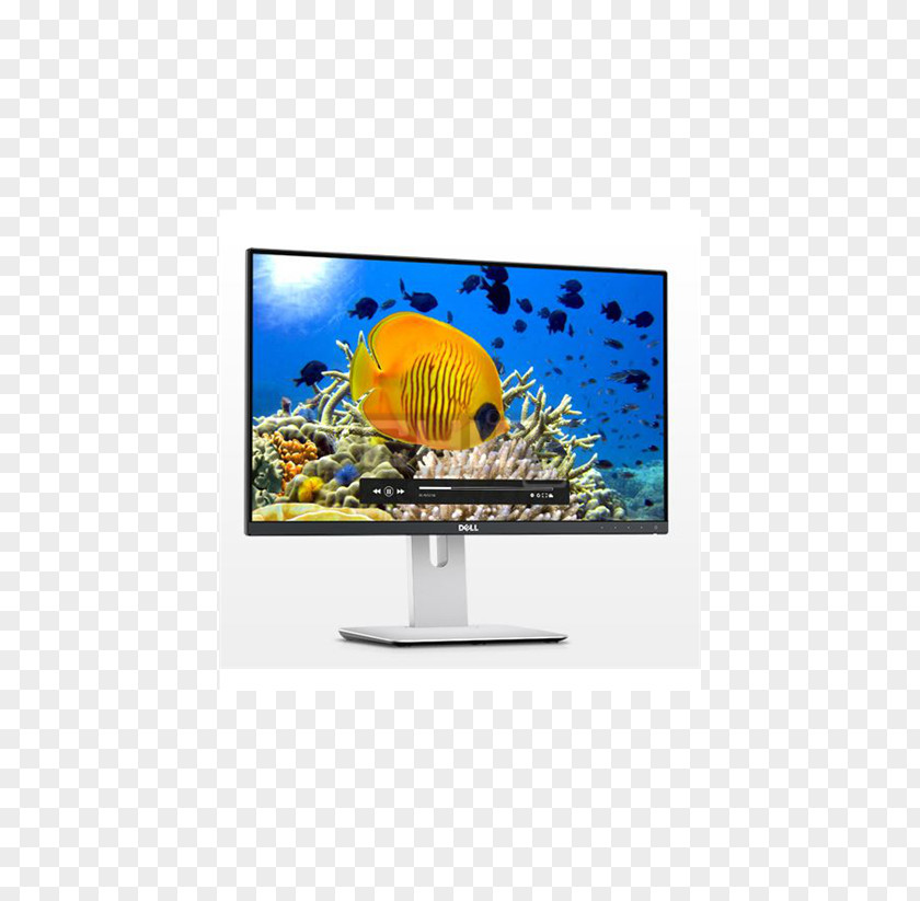 Dell UltraSharp U-14H IPS Panel Computer Monitors 1080p PNG