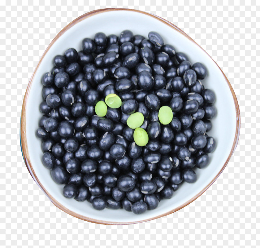 Dish In The Farm Black Beans Turtle Bean Kidney Blueberry PNG