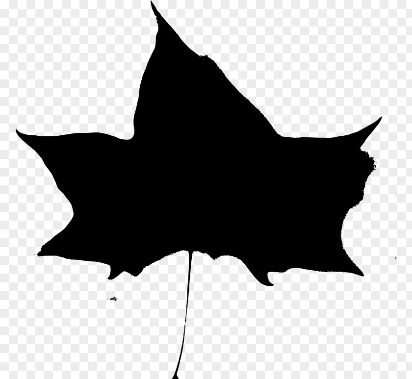 Leaf Silhouette Clip Art PNG