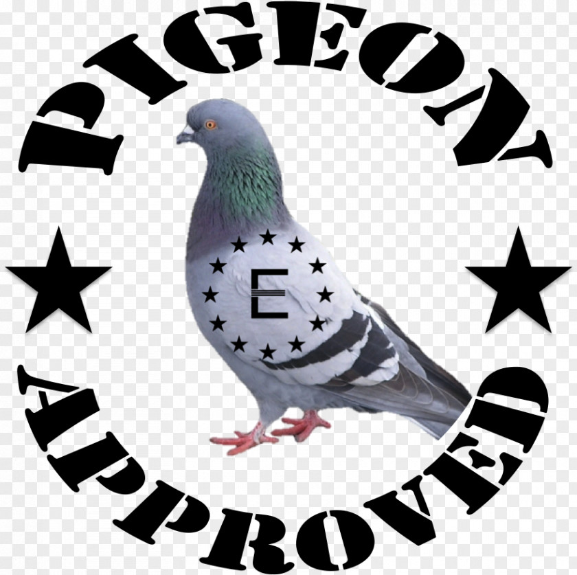 Pigeon Pest Control Cockroach Household Insect Repellents Brown Rat PNG