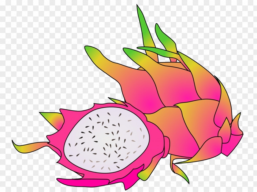 Pomegranate Fruit Pitaya Clip Art PNG