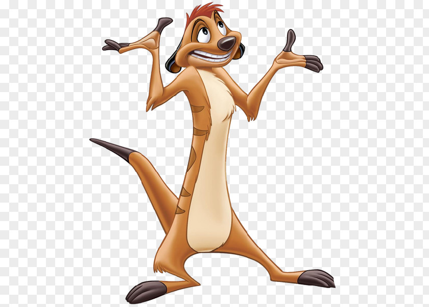 Timon Shenzi Pumbaa The Lion King Meerkat PNG