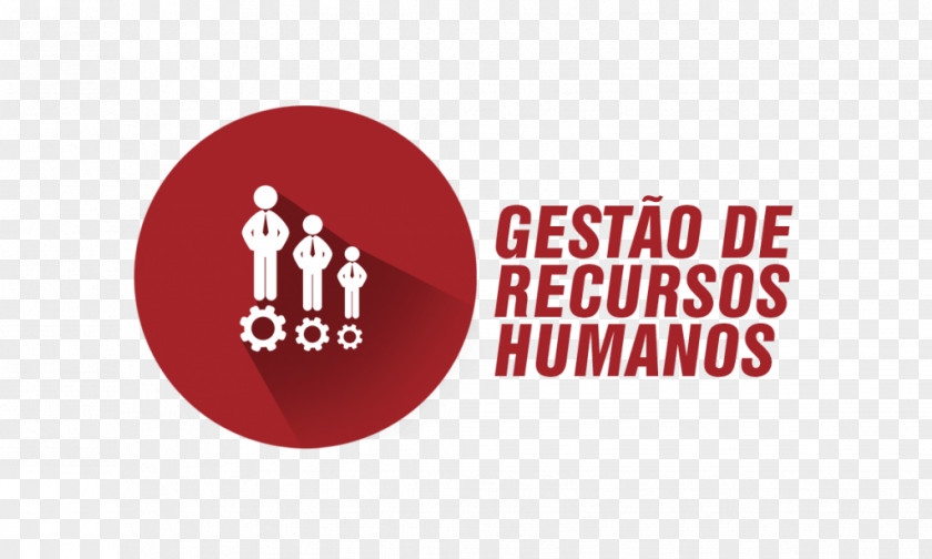 Whatsapp Logo Human Resource Management Organization PNG