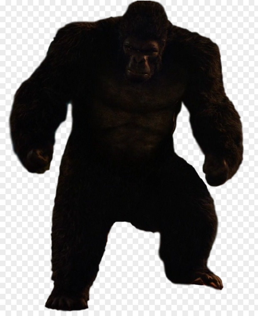 Gorilla Grodd Trickster Ape King Kong PNG