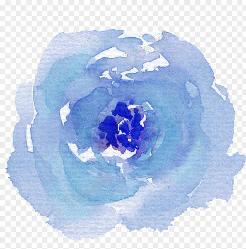 Painting Blue Rose Watercolor Watercolor: Flowers PNG