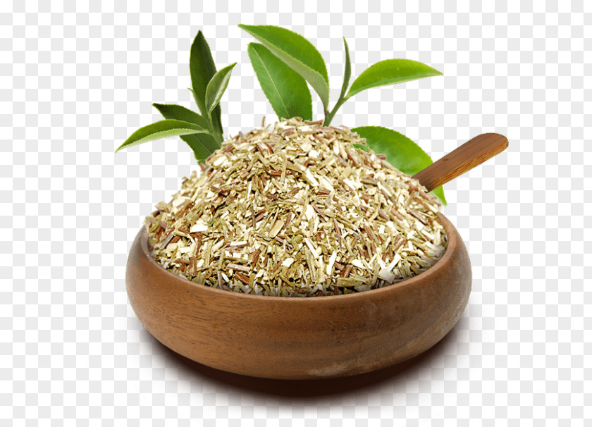 Rooibos Hōjicha Seasoning Sprouted Wheat Herb Commodity PNG
