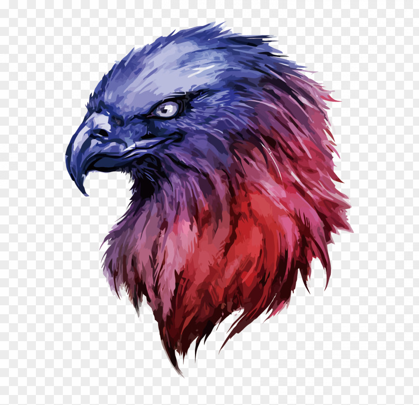 Vector Eagle Oryol Embroidery Euclidean PNG