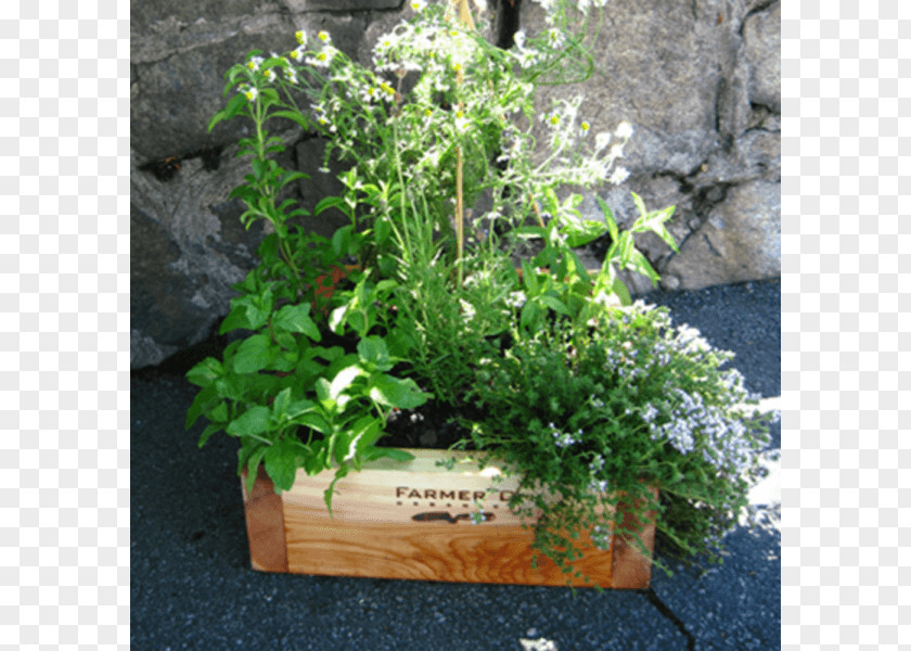 Window Herb Flowerpot Flower Box Garden PNG