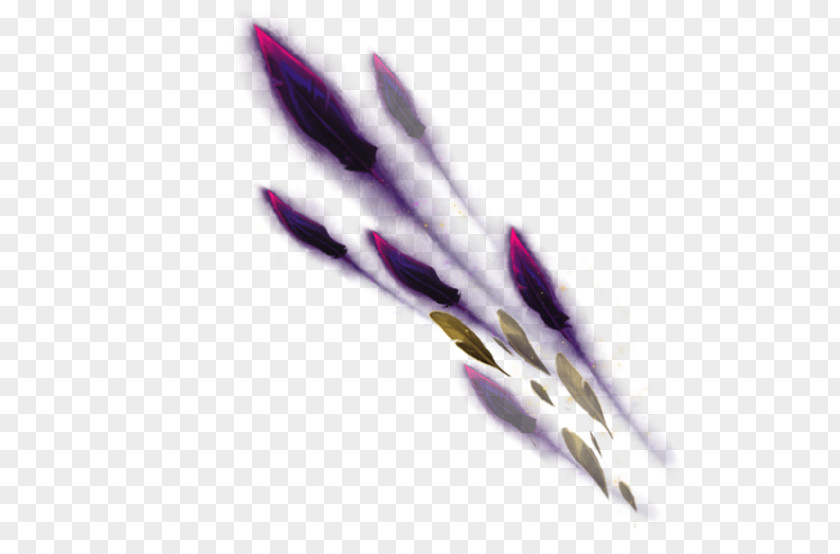 Underbrush 0 2 1 Feather League Of Legends Bird Quill Wing PNG