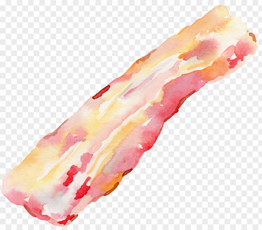 Bacon Painted Bridesmaid Food Illustration PNG
